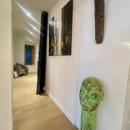Typical Parisian Art Gallery Style Apartment
